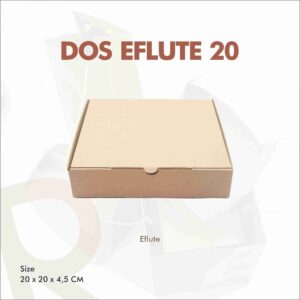 DOS EFLUTE 20