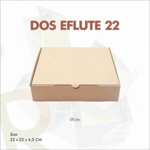 DOS EFLUTE 22
