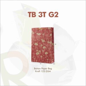 TB 3T G2